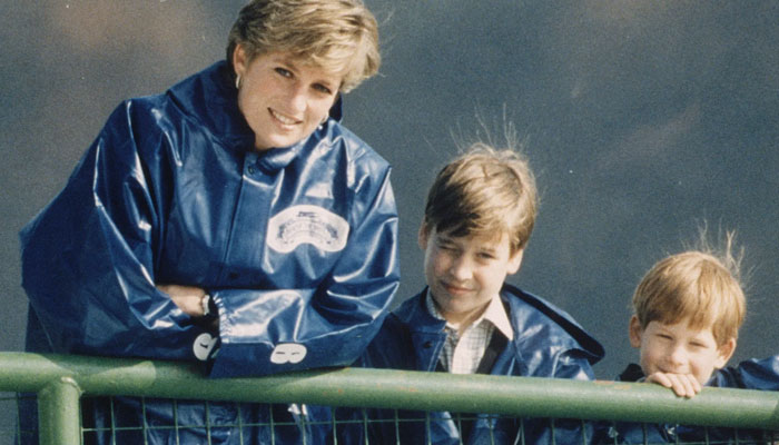 If Diana were here, she would be happy to see Prince Harry with Meghan Markle: Sara Ferguson
