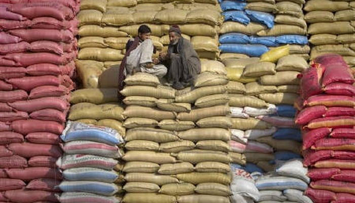 Labourers sit on top of a pile of rice sacks as they wait for work at a wholesale market on the outskirts of Islamabad January 17, 2011.— Reuters/File