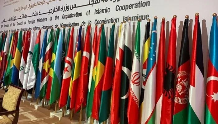 The flags of the various countries that are part of the Organisation of Islamic Cooperation. Photo: file