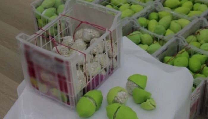 Captagon pills hidden in plastic lemons uncovered by Dubai police. Photo: Khaleej Times