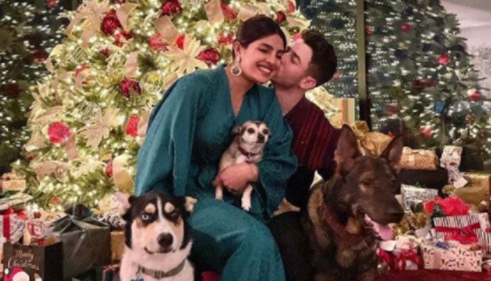 Priyanka Chopra, Nick Jonas drop picture-perfect Christmas snap : See Photo