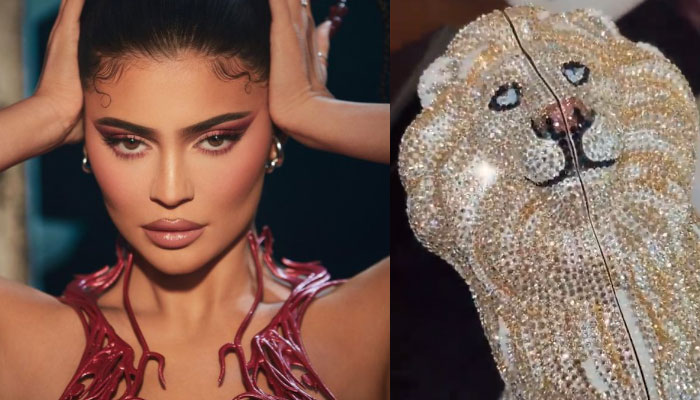 Kris Jenner shows off $100k crocodile Hermès bag as family is slammed as  'tone deaf' after Astroworld tragedy