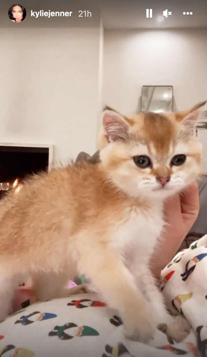Kylie Jenner debuts brand new family member on Christmas Day