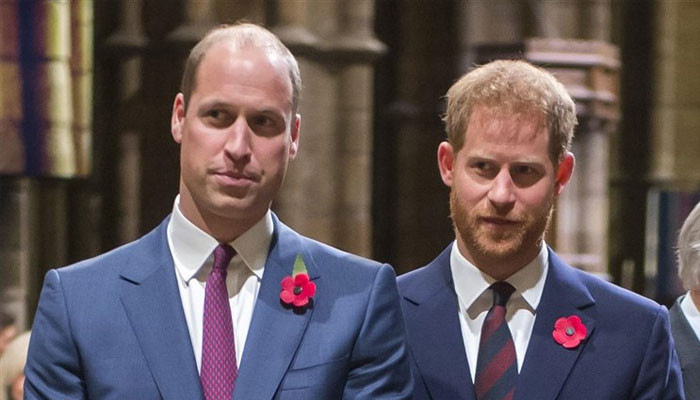 Perseteruan Pangeran Harry dan Pangeran William berlanjut hingga 2022