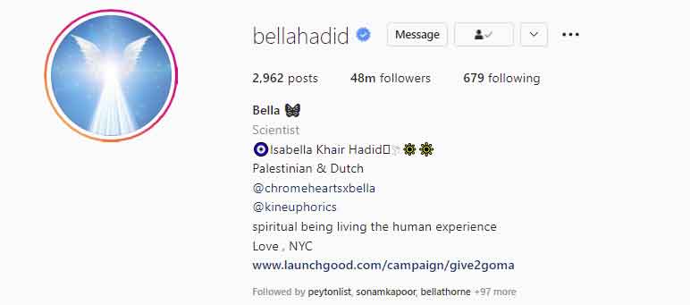 Bella Hadid hits another milestone