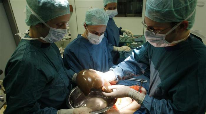 When will KP start free liver transplants under the Sehat card?