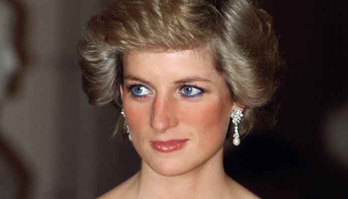 Government documents reveal new details about Princess Dianas funeral