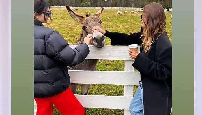 Kendall Jenner and Hailey Bieber show their love for animals in amazing pic with donkey