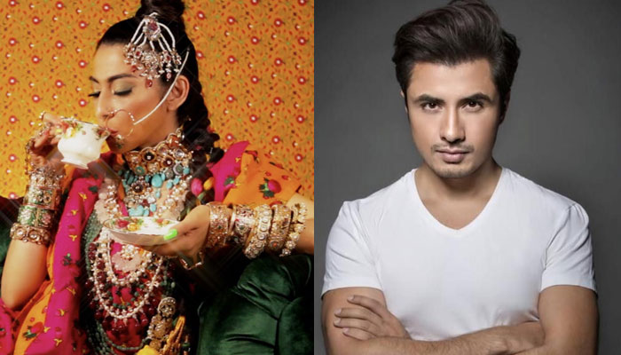 Meesha Shafi talks about Ali Zafar harassment in court: Not an eyewitness