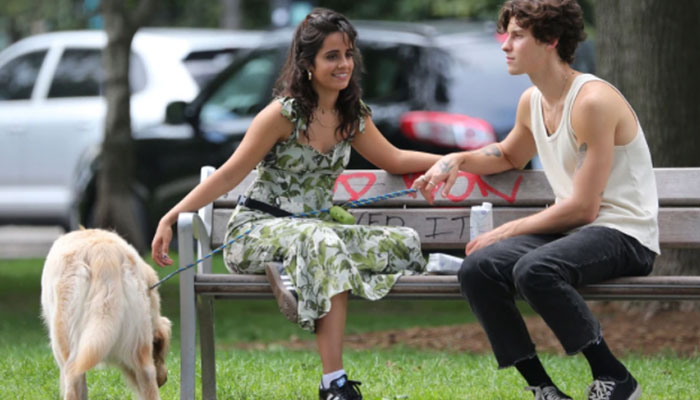 Camila Cabello, Shawn Mendes spotted on Miami streets after split