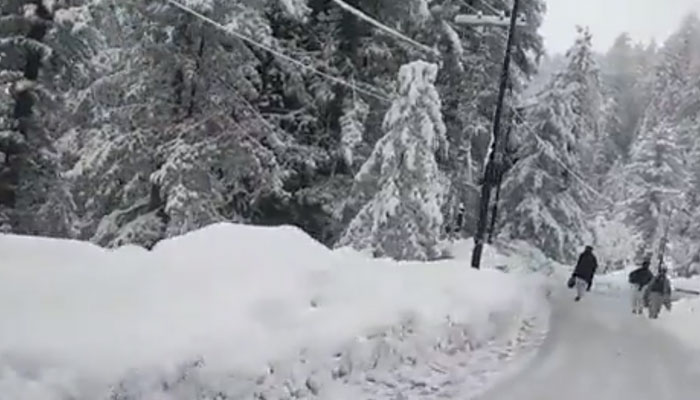 Murree has received 32 inches of snow and 94 mm of rain since January 3. Photo: Twitter
