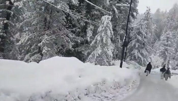 Murree has received 32 inches of snow and 94 mm of rain since January 3. Photo: Twitter