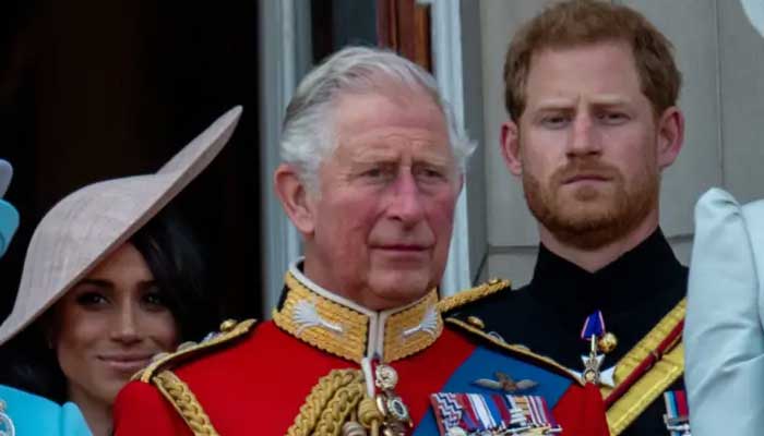 Prince Harrys memoir to reflect Meghan Markles views about royal family