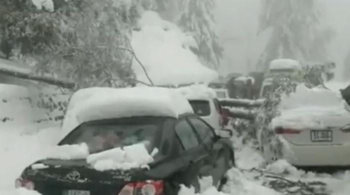 Non-implementation of SOPs for traffic, snow led to Murree tragedy: report