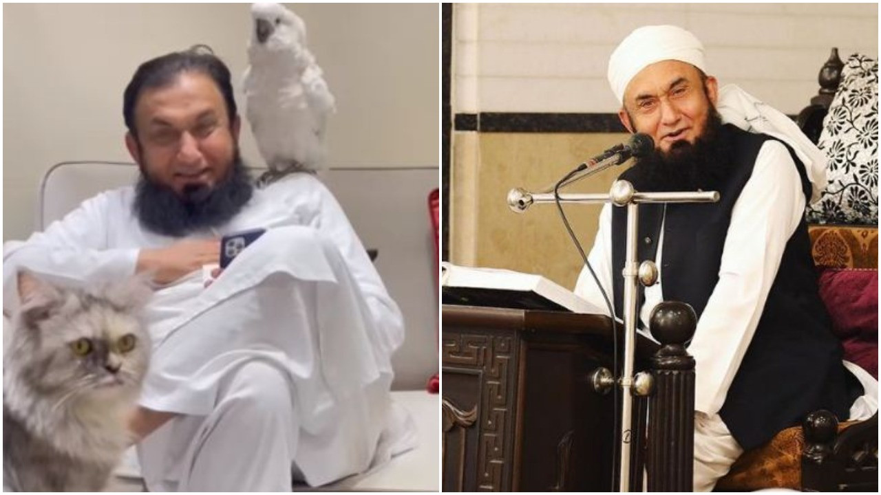 Burung beo cium kening Maulana Tariq Jamil