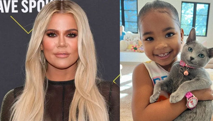 Khloe Kardashian is using True’s pic to ‘distract’ from racism heresay, claim fans