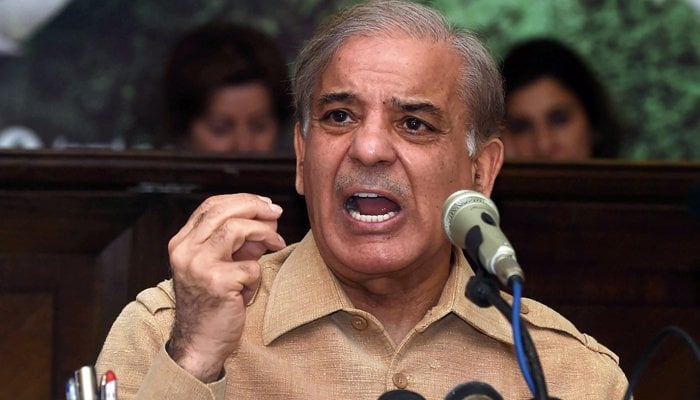 Leader of the Opposition in the National Assembly and PML-N President Shahbaz Sharif — AFP