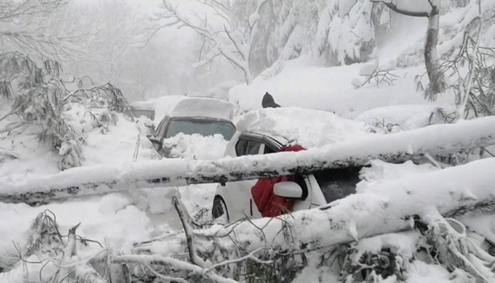 Vehicles stuck under fallen trees are seen on a snowy road, in Murree, northeast of Islamabad, Pakistan in this still image taken from a video January 8, 2022. — Reuters/File
