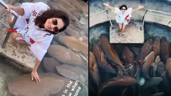 Sunny Leone with sharks in Maldives