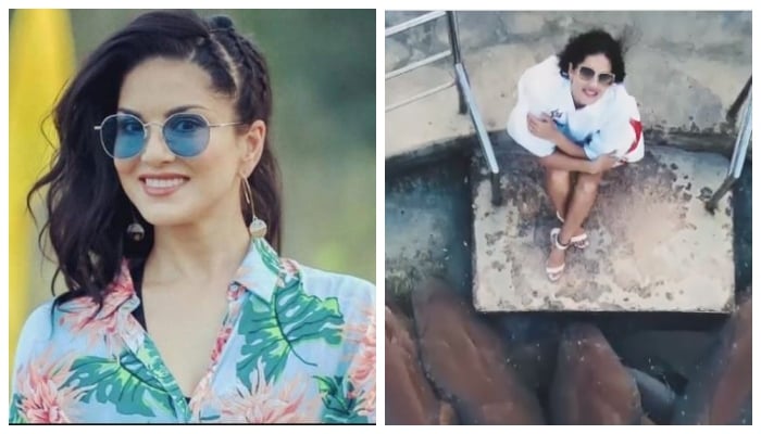 Video: Sunny Leone strikes a pose with sharks during Maldives vacay