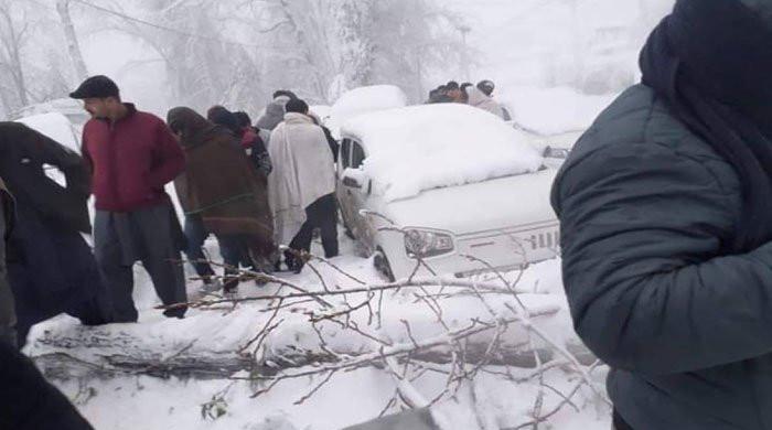 Investigators say Murree tragedy due to administrative negligence: sources