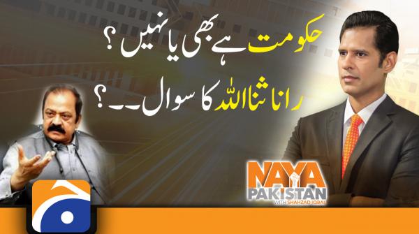 Is there a government or not? Question Asked of Rana Sanaullah