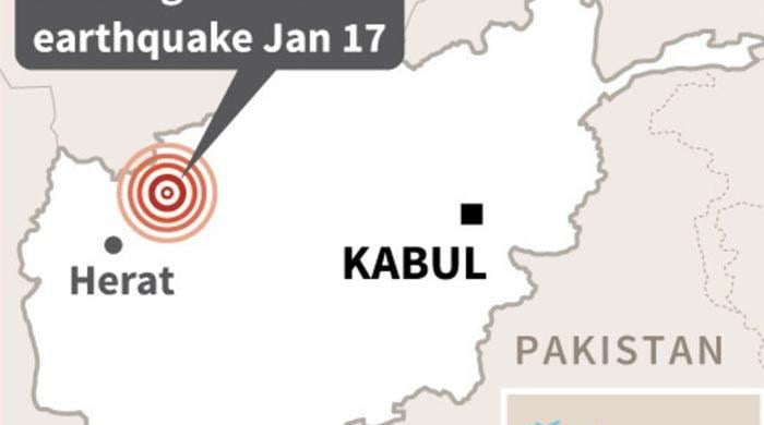 At least 12 killed in Afghan earthquake: district official