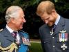 Will Prince Harry put his family's life on risk after prince Charles' invitation?