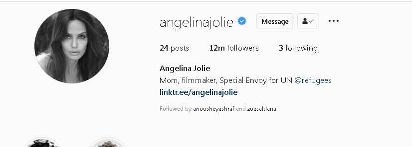 Angelina Jolie 12 million Instagram followers 