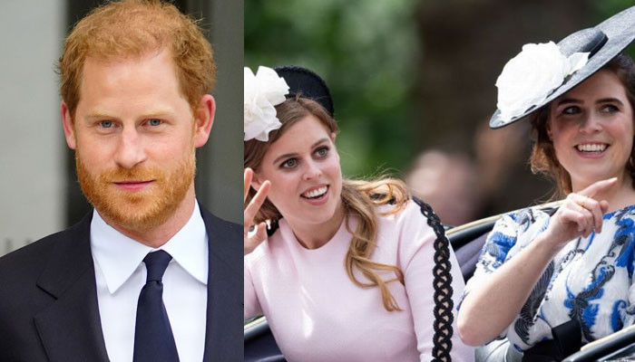Prince Harry should nicely ask Princess Beatrice, Eugenie to lend him security - Geo News