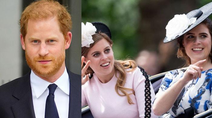 Prince Harry should 'nicely' ask Princess Beatrice, Eugenie to lend him security