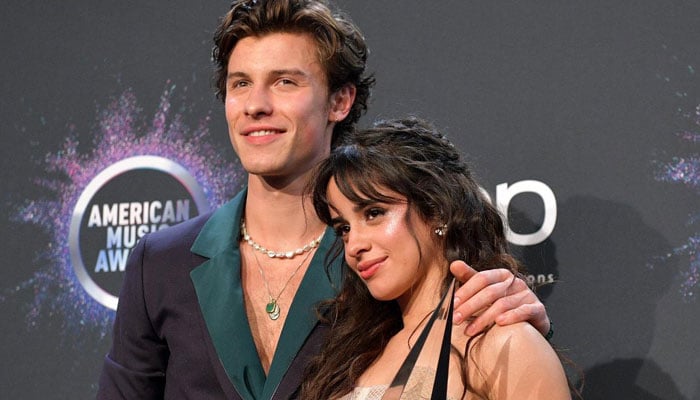 Camila Cabello calls ex Shawn Mendes wildcat on his new Instagram video: Watch