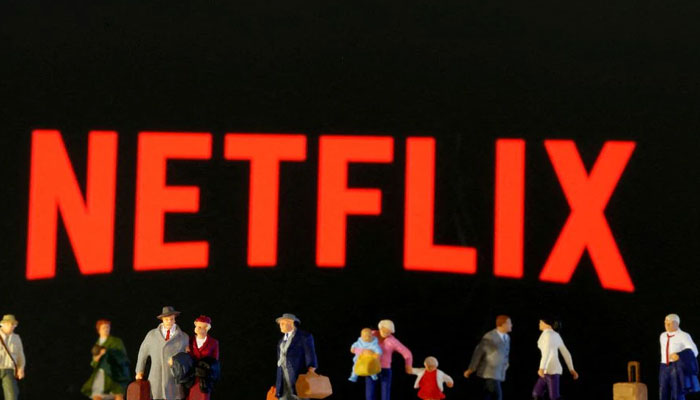 Netflix stung by slowing subscriber growth