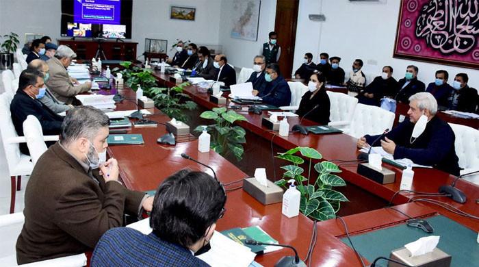 ECC approves export of commodities to Afghanistan in Pakistani currency