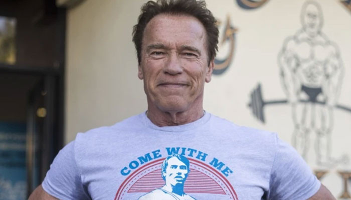 Arnold Schwarzenegger doing fine but worried after LA multi-car accident - Geo News