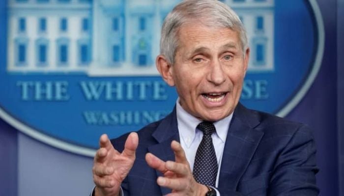 White House chief medical advisor Dr. Anthony Fauci. Photo: Reuters