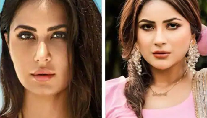 Shehnaaz Gill passes on her Punjabi ki Katrina title to married Katrina Kaif