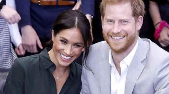 Petition refers to Meghan and Harry as it demands ban on Twitter hate accounts and YouTube channels
