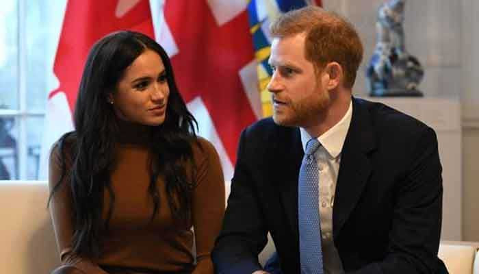Pangeran Harry dan Meghan Markle memiliki 13 bisnis yang berbeda, terima peringatan: lapor