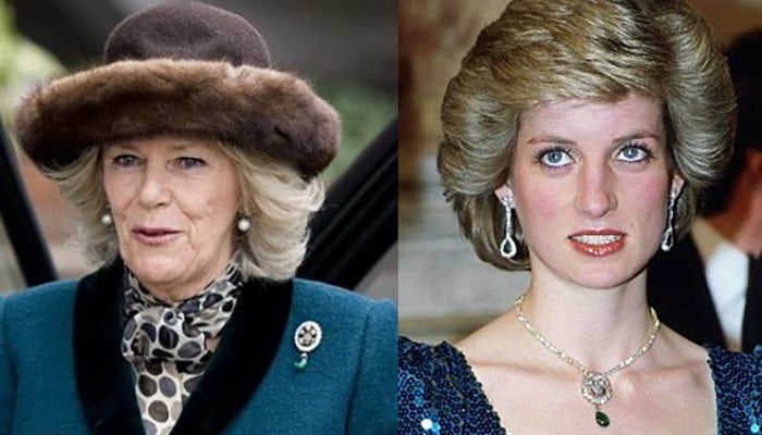 Camilla shocked royal fans after wearing Princess Dianas jewelry