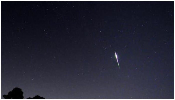 A Perseid meteor streaks above the skies of Palm Beach Gardens, Florida August 12, 2009. — Reuters/Doug Murray