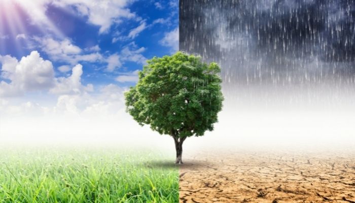 Pakistan’s recently launched National Security Policy (NSP) recognises climate change as a vital factor in human security. Photo: Stock/file