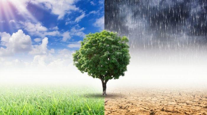 Dissecting the National Security Policy on climate change