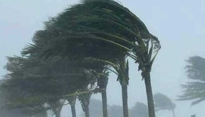 Trees swaying due to strong winds in Karachi. Photo: Twitter.