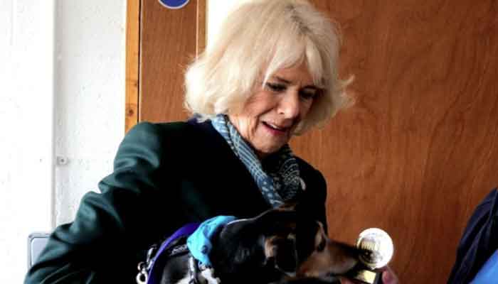 Duchess Camillas dog beats TV srar Paul O’Grady’s pup in training challenge