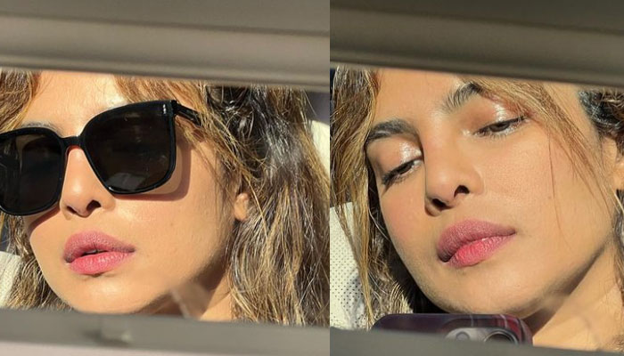 New mommy Priyanka Chopra drops bombshell selfie after Instagram break