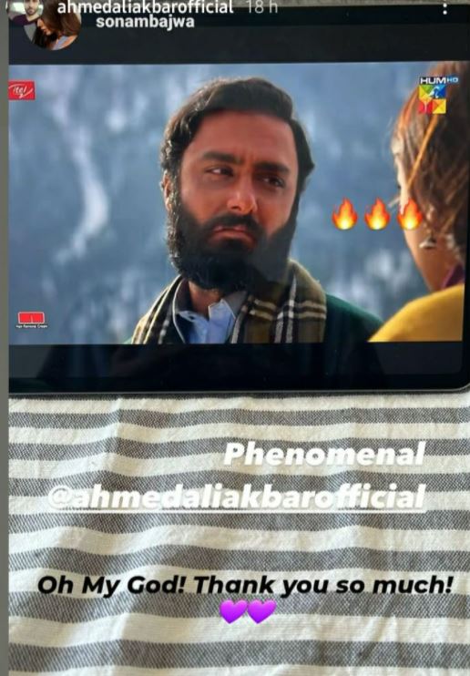 Parizaad star Ahmed Ali Akbar gets love from Indian actor Sonam Bajwa