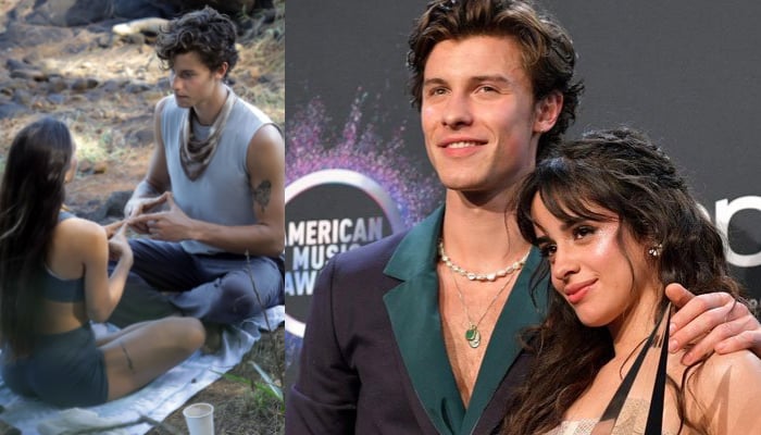 Shawn Mendes, months after splitting with Camila Cabello, was spotted with a brunette yogi in Hawaii