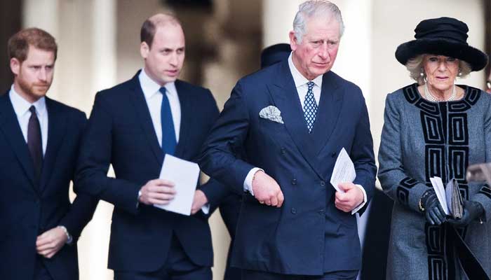Prince Harry and William were unhappy over Charles move to push Camilla as Queen