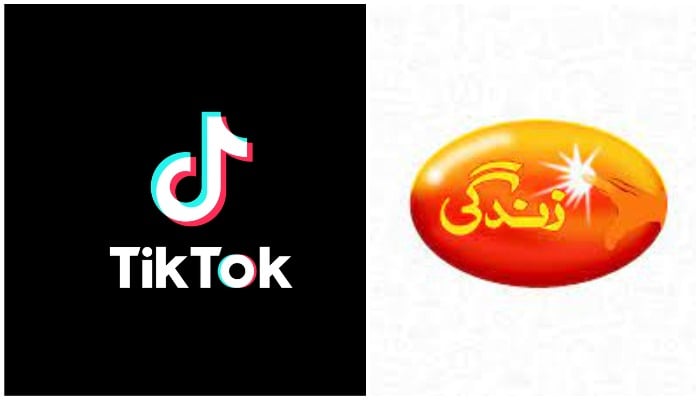 Logos of TikTok and Zindagi Trust — Twitter